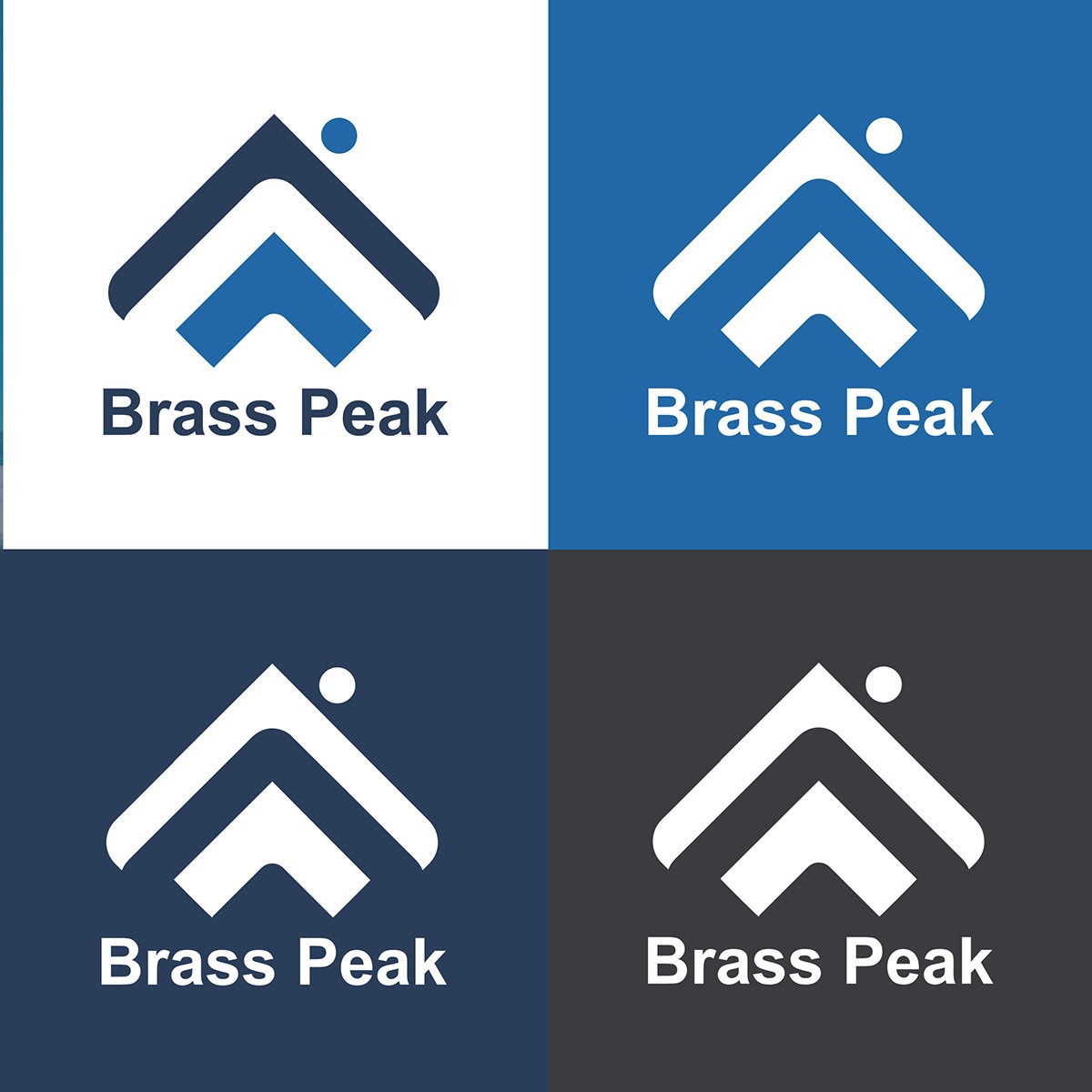 Logo Brass peak